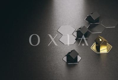 SX504 Mosnita Noua, Parcele teren, Disponibile imediat - 2