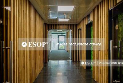 Spațiu comercial, de 5,900 mp, în Băneasa - 8