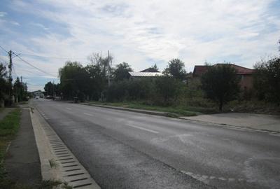 Domnesti Ciutaci-Zorelelor - 9