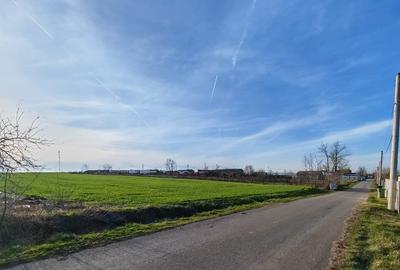Comana intravilan, loturi 528mp/13EMP, Delta, gaze, particular (rate/credit) - 2