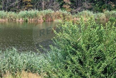 DE VANZARE Teren agricol 4500mp Moara Vlasiei - 5