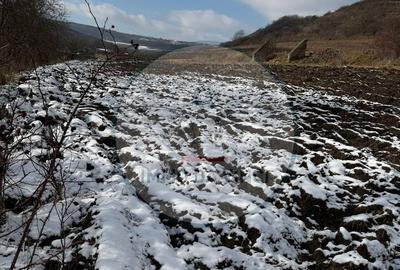 Teren Construcții intravilan de 1510 mp, în Sânmărtin - 4