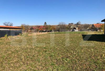 ???? Teren de vanzare in jude?ul Bra?ov 1.481 mp, ut - 5