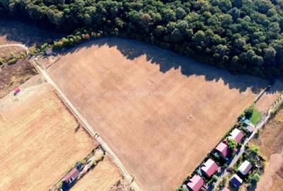 Teren de 620 mp, în Izvorani - 2