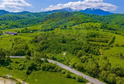 Teren Construcții intravilan de 10000 mp, în Glăjărie - 10