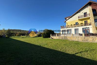 Pensiune de vanzare impreuna cu 11.500 mp teren - 6