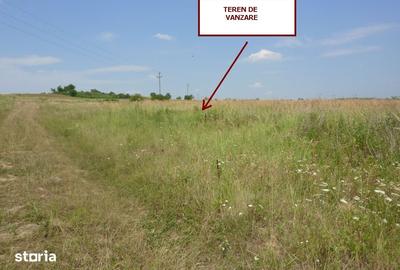 Teren de 11600 mp, în Cetariu - 4