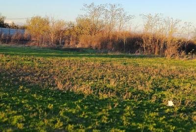 Spațiu comercial, în Tânganu - 2