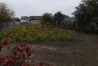 Casă cu 2 camere în Basarabi - 8