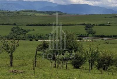 De vanzare, teren 11.500 mp – Dealul Dăii,  Vedere panoramică spre munți și lac - 11