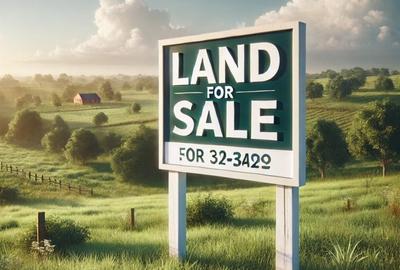 Teren Construcții intravilan de 15000 mp, în Vest - 1