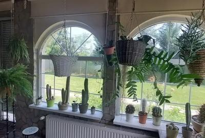 Vila cu 8 Camere Corbeanca | Piscina | Semineu | Sauna | Curte 2300mp - 15