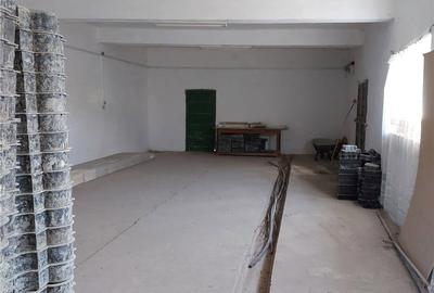Spațiu comercial, de 500 mp, în Acâș - 3