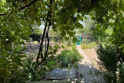 Casă cu 5 camere în Oltina - 3