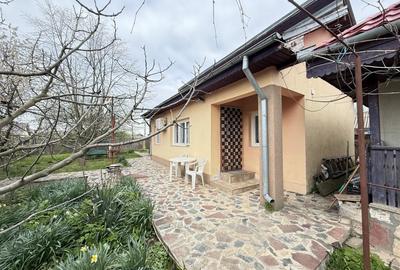 Snagov Izvorani casa locuibila cu livada de pomi fructiferi - 2
