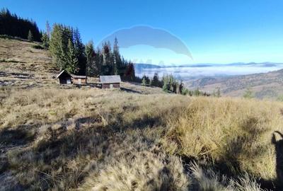 Teren extravilan de 31461 mp, în Panaci - 15