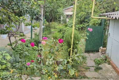 Teren intravilan de 343 mp, în Andronache - 3