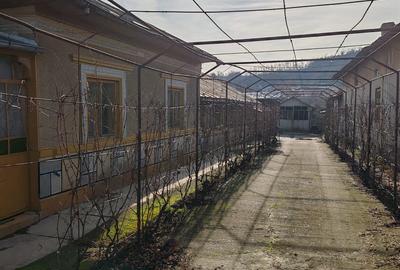 Casa com Hotarele - 1