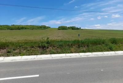 Teren de 2100 mp, în Prăjești (Traian)