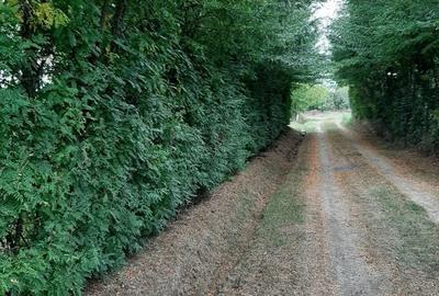 Spațiu comercial, în Central