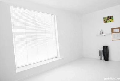 Spațiu comercial, de 260 mp, în Ștefan cel Mare - 2