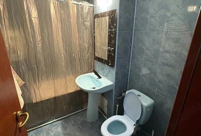Apartament cu 2 camere decomandat în Broșteni - 4