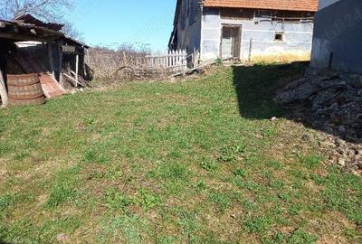 Casă cu Teren 6996 Mp în Cerișor - 5