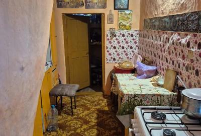 De vanzare casa cu teren Sat Pustinis, 1150 m2. - 9