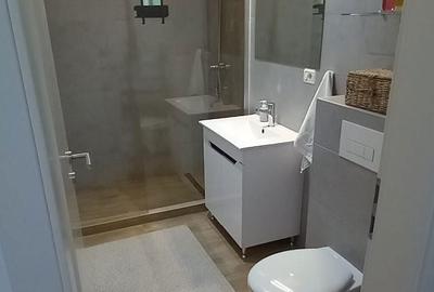 Apartament cu 2 camere semidecomandat în Sânpetru - 4
