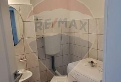 Apartament cu 3 camere de inchiriat in zona Micalaca - 15