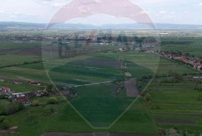 Teren agricol extravilan de 25100 mp, în Prejmer - 6