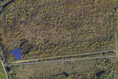 Teren de 610 mp, în Plopi - 3