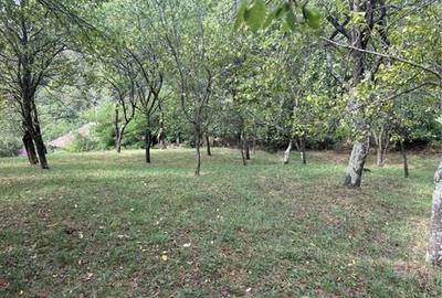 Spațiu comercial, în Central