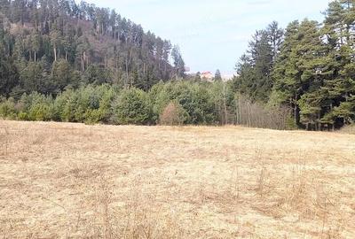 Teren de 3000 mp, în Poiana Angelescu - 2