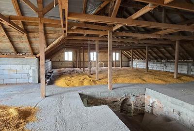 Spațiu comercial, de 470 mp, în Apold - 6