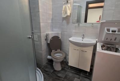 Apartament cu 2 camere decomandat în Metalurgiei - 17