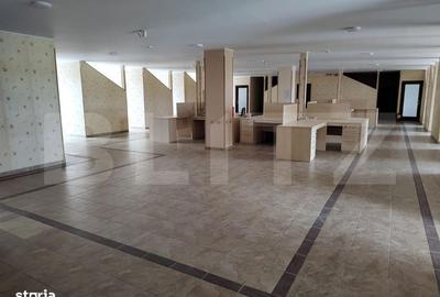 Spațiu comercial, de 660 mp, în Rontău - 13
