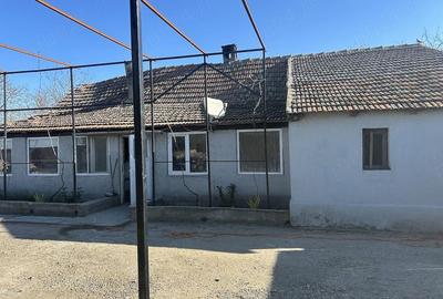 Casă cu Teren 8000 Mp în Central - 5