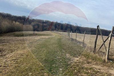 Teren 2925 mp comuna Mitocu Dragomirnei - 15