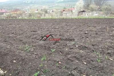 Teren de 600 mp, în Suceagu - 1