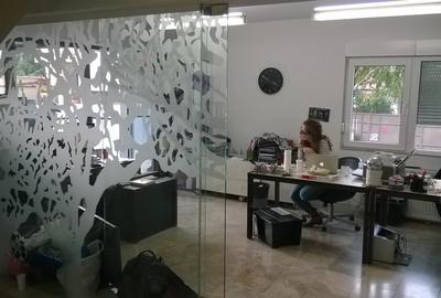 Casă cu 6 camere cu Teren 150 Mp în Domenii