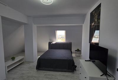 Garsonieră, mobilată în Central