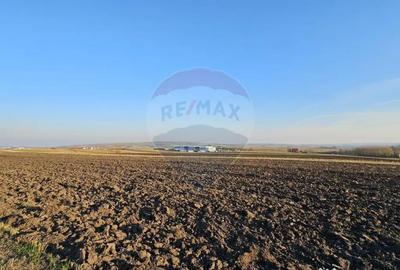 Teren de 6100 mp, în Stroiești - 6