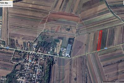 Teren Construcții intravilan de 7000 mp, în Stoenești (Florești-Stoenești) - 13