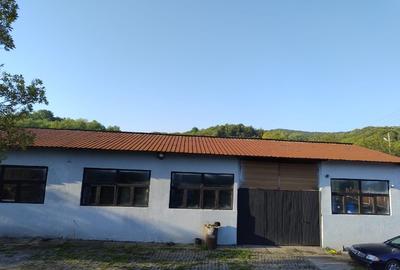 Teren constructii intravilan 3600mp - 2