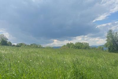Casă cu 4 camere în Pârteștii de Jos - 6