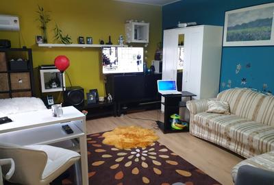 Casă individuală cu 18 camere cu Canalizare în Lipovei - 49