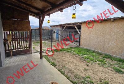 Casă cu Teren 1493 Mp în Ozun - 11