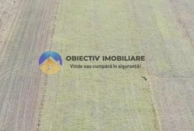 TEREN intravilan  4488 mp - PANGĂRAȚI - 2