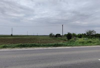 Teren de 7500 mp, în Centură